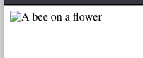 Chrome shows both a broken image icon and the text